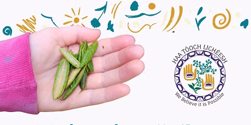 Wednesday Community Harvests