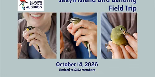 Visiting the Jekyll Island  Banding Station with Sue Killeen