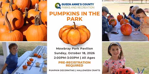 Pumpkins In the Park