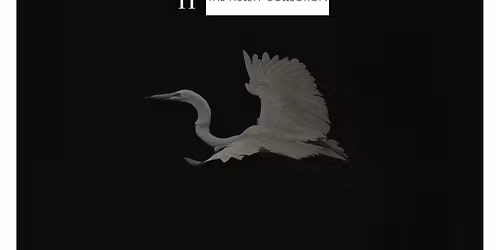 Only the Landscape has Changed: Pentti Sammallahti | Chico Seay | Wesley Stringer