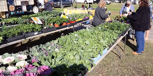 Morisset Shop & Feast Markets 7th March 2026