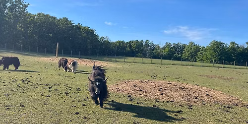 Farm Market & Community Gathering