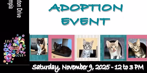 Kitten Adoption Event - Olympia 