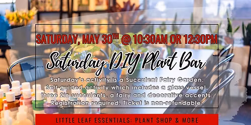 DIY Plant Bar - Succulent Fairy Garden Edition (10:30am or 12:30pm)