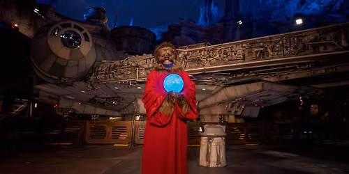 Chicago Force Life Day