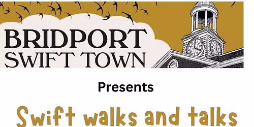 Swift walk and talk evening