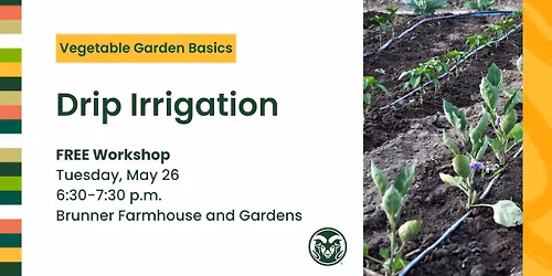 Drip Irrigation - Vegetable Garden Basics