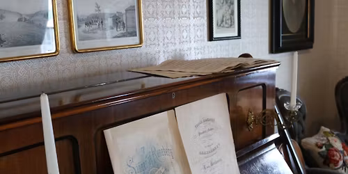 Luento: Naisten kasvattama \u2013 nuori Sibelius ja h\u00e4nen sukuverkostonsa