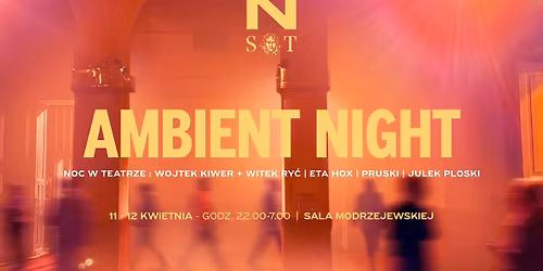 AMBIENT NIGHT | hipnotyzuj\u0105ca noc w teatrze