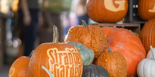 Strange Garden: Family Weekend