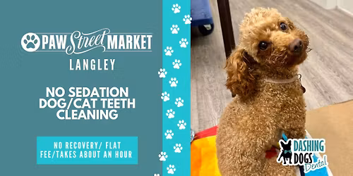 Pet Teeth Cleaning Event - Langley