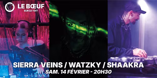 SIERRA VEINS + WATZKY \/ SHAAKRA \/\/ Boeuf sur le Toit [Lons-le-Saunier \/ 39]