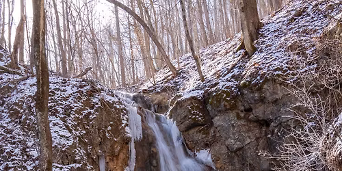 Falls Ridge Preserve Hike