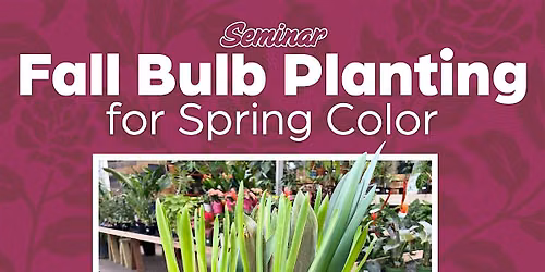 Fall Bulb Planting for Spring Color