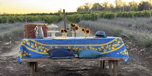 Celebrate Mother\u2019s Day Sunset Lavender Bring Your Own Picnic