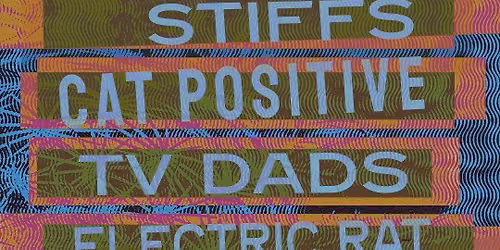 Cat Positive - Live at The Heart 