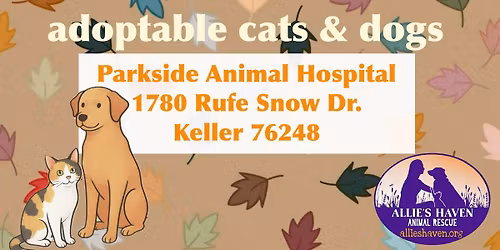 Allie\u2019s Haven Meet & Greet 