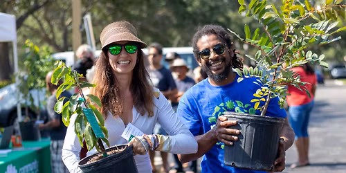 Hallandale Beach Free Tree Giveaway