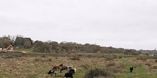 Wivenhoe 5 mile trail.