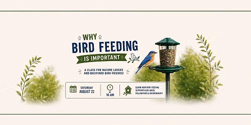 Why Bird Feeding Is Important
