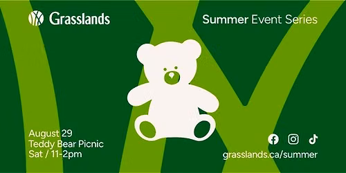 Teddy Bear Picnic Party