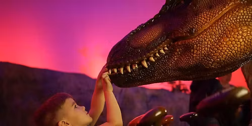 Create-A-Saurus Program