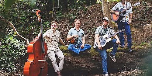 Live Music: The Meadow Stompers