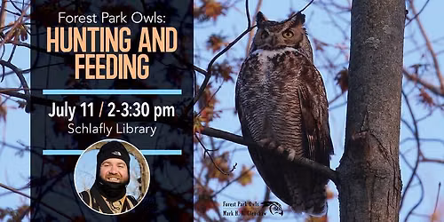 Forest Park Owls: Hunting and Feeding