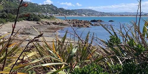 June Training Session - Lyall Bay