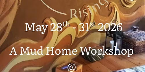 Advanced Clay Plastering Techniques 