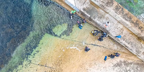 Club dive | Bicheno(breakwall)