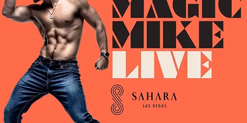 Magic Mike Live