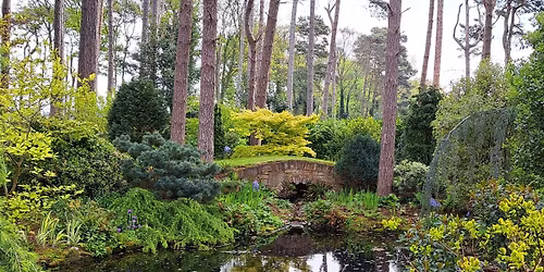 Garden open for charity - 3 Tower End, Victoria Road, Liverpool, Merseyside, L37 1LP