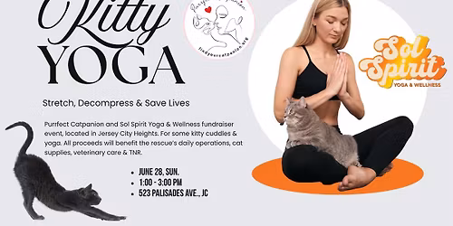 Kitty Yoga