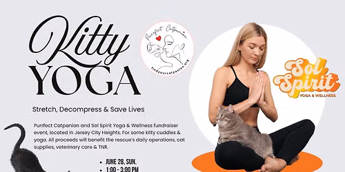 SOLD OUT: Kitty Yoga