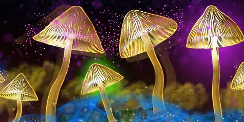 The Science of Psychedelics with Dr Sam Gandy