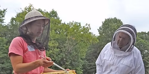 Special Access for Ages 18+: Honey Bee Hive Inspection