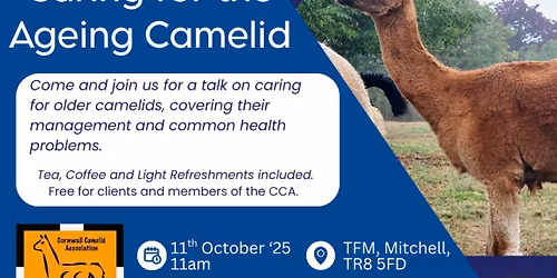 Caring for the Ageing Camelid