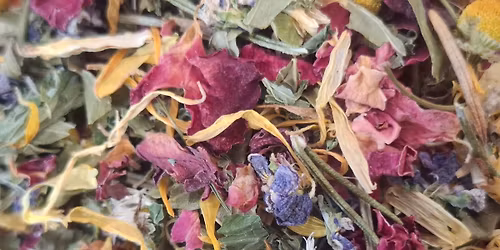 Tea Ceremony and Tasting Afternoon