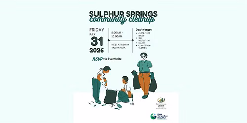 Sulphur Springs Community Cleanup