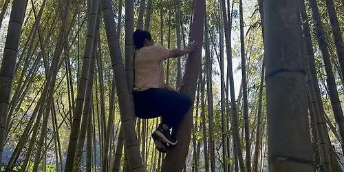 Sacred Reset: Trauma Release & Nervous System Renewal for Women