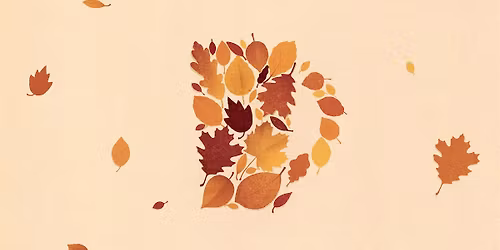 JULEMARKED I RÆVEHOLM 21 (fælleshus)