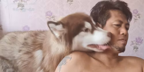 Small Content Creator 