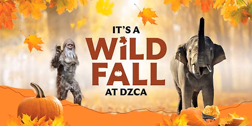 Fall at DZCA