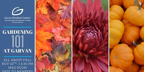 Gardening 101: All About Fall