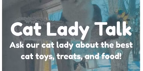 Cat Lady Talk! Top Cat Picks!
