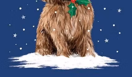 Santa Paws is coming!