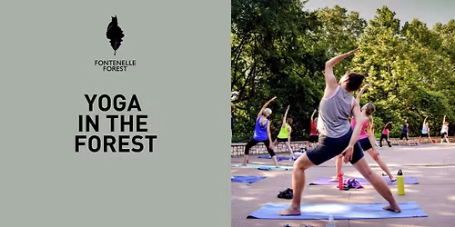 Yoga in the Forest