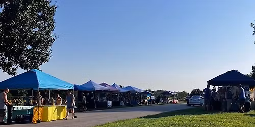 Big Shoal Farm Sunflower Field Festival
