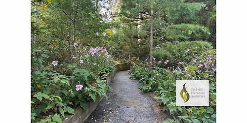 Mindful by Nature: The Inner Work of Being Outdoors